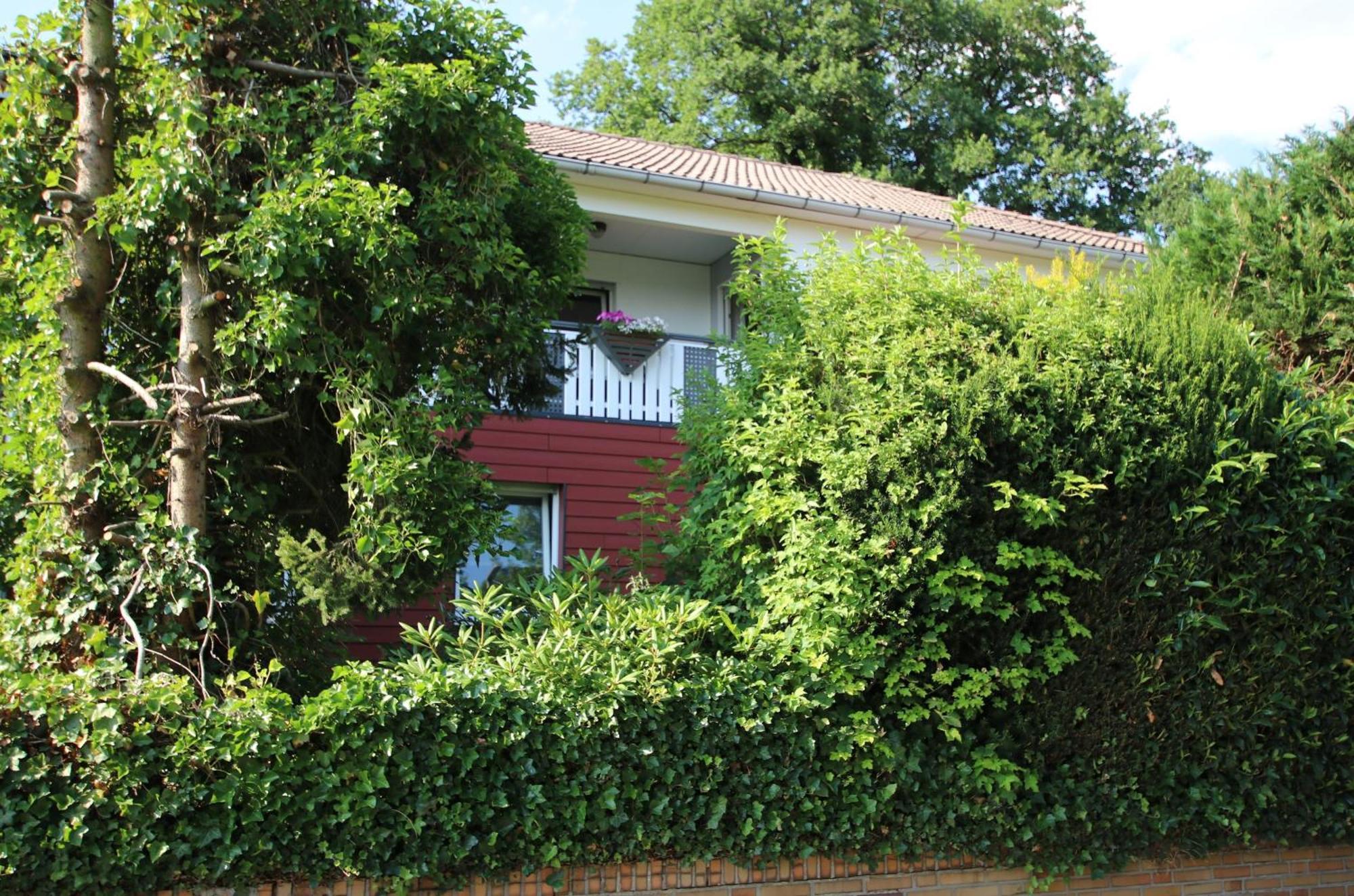 Ferienwohnung Zum Rosengarten West015 Westerwald Driedorf Extérieur photo